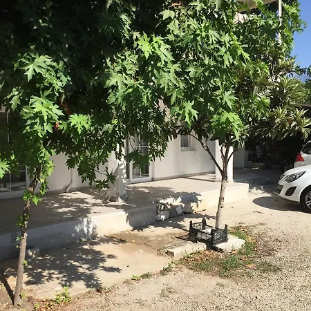 Dirgen Φετιγιέ